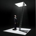 corporate ladder