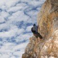 get out of a rut
